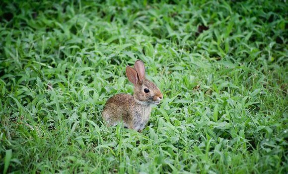 blog 3