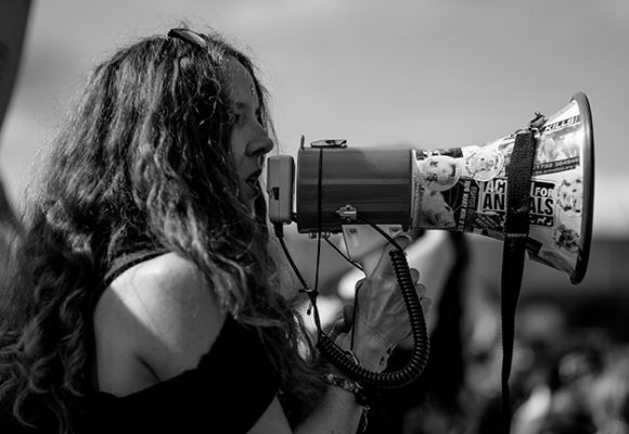 blog